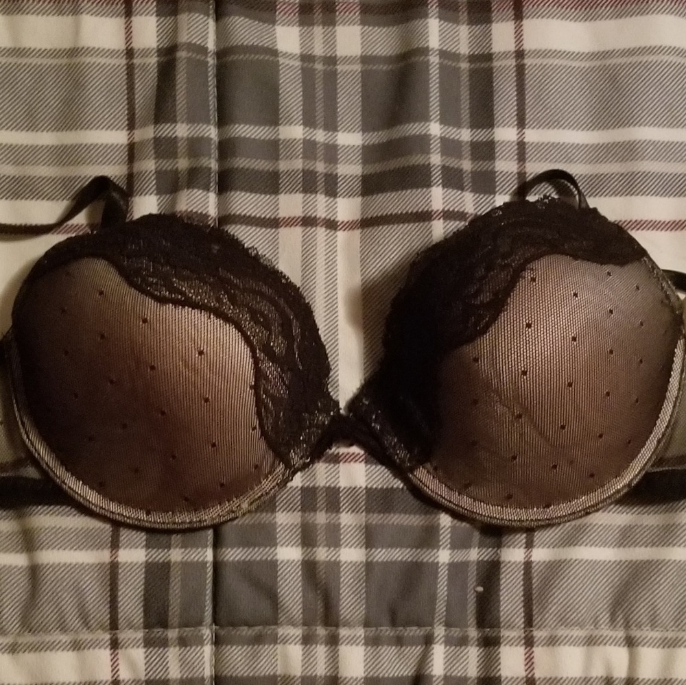 Felina Bra NWT!